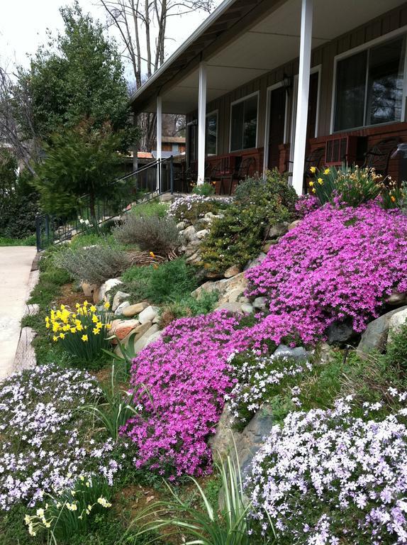 America'S Best Value Inn Mariposa Lodge Exterior foto